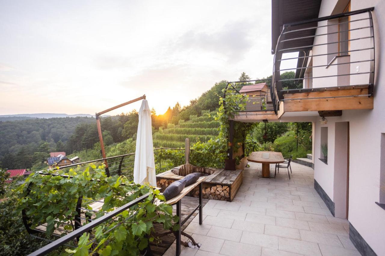 Vineyard Cottage Sonce Sentvid Pri Sticni Exterior photo